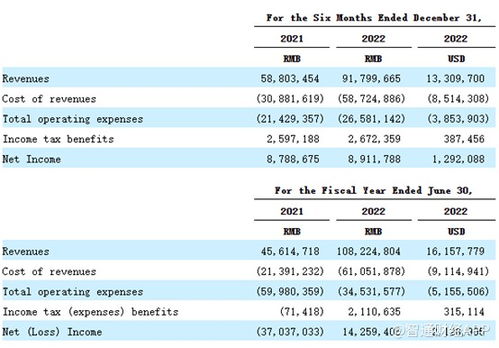 重销售轻研发，致保科技赴美IPO成长性迎考，单一业务依赖风险凸显