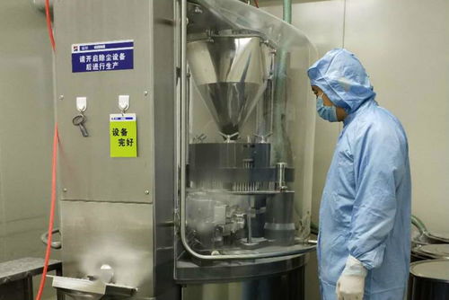 金花制药厂顺利完成GMP符合性自检工作，全面承接总公司核心业务